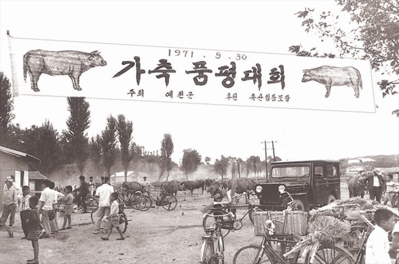 고향우시장 이미지
